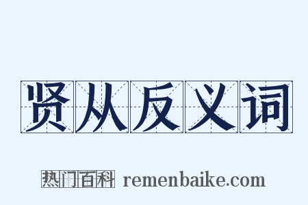 贤从反义词是什么意思的图片
